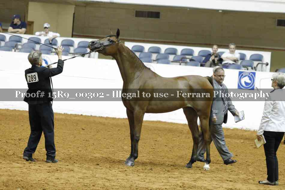 Proof 15R9_00302