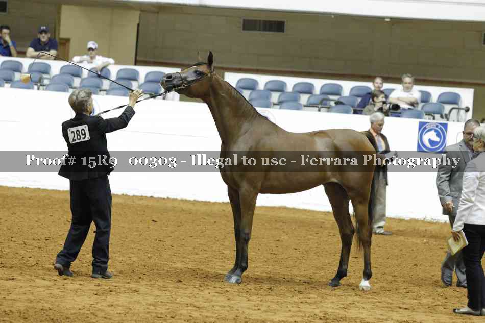Proof 15R9_00303
