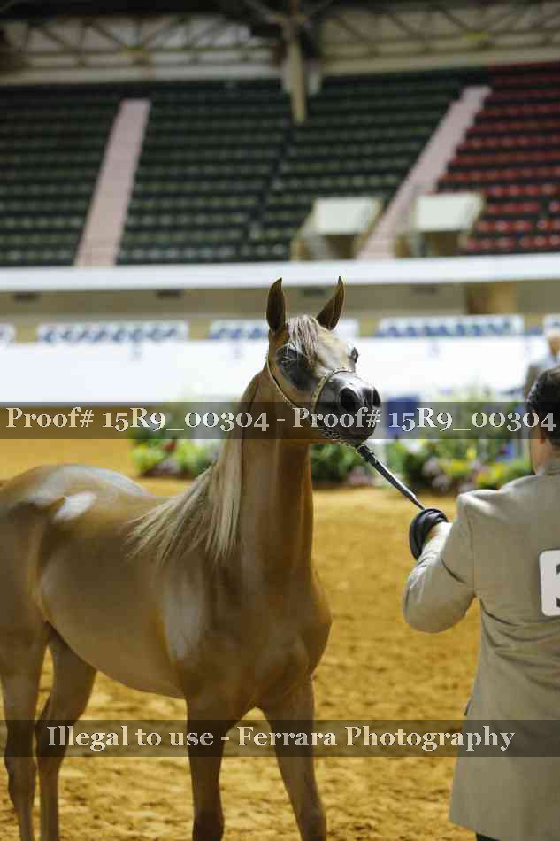 Proof 15R9_00304