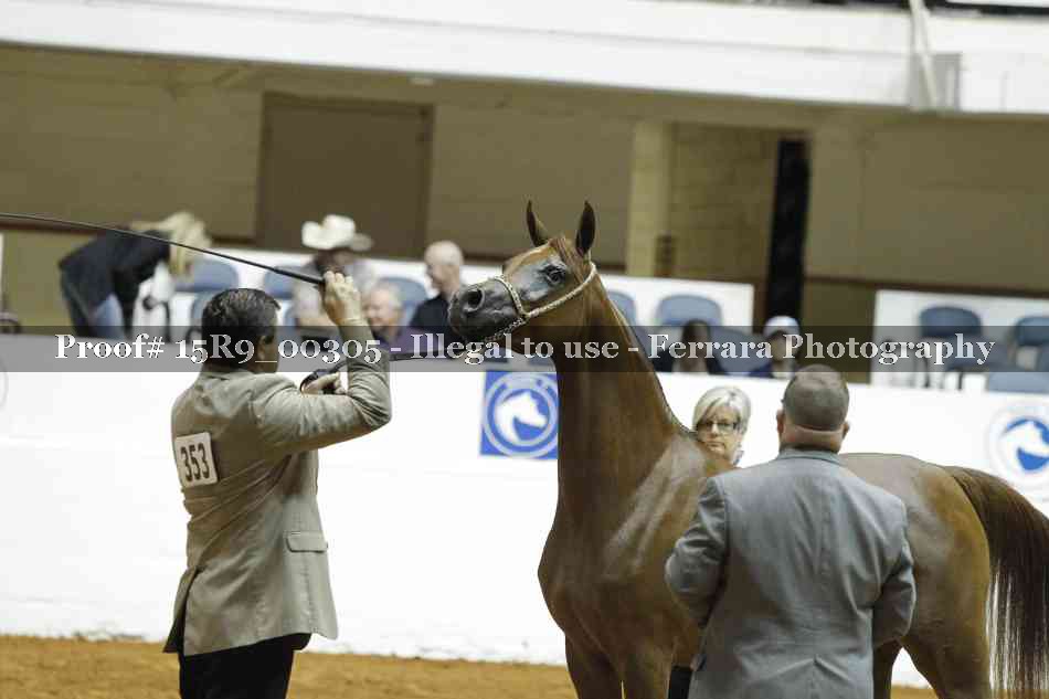 Proof 15R9_00305