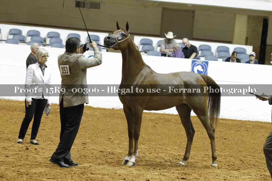 Proof 15R9_00306