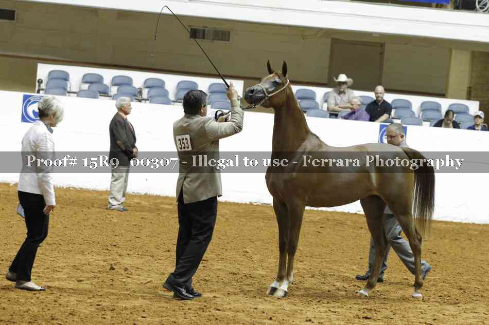 Proof 15R9_00307