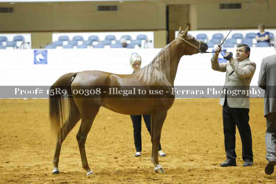 Proof 15R9_00308