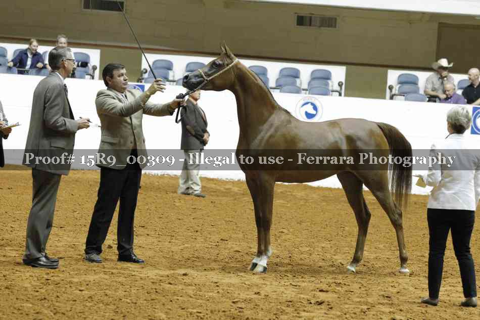 Proof 15R9_00309