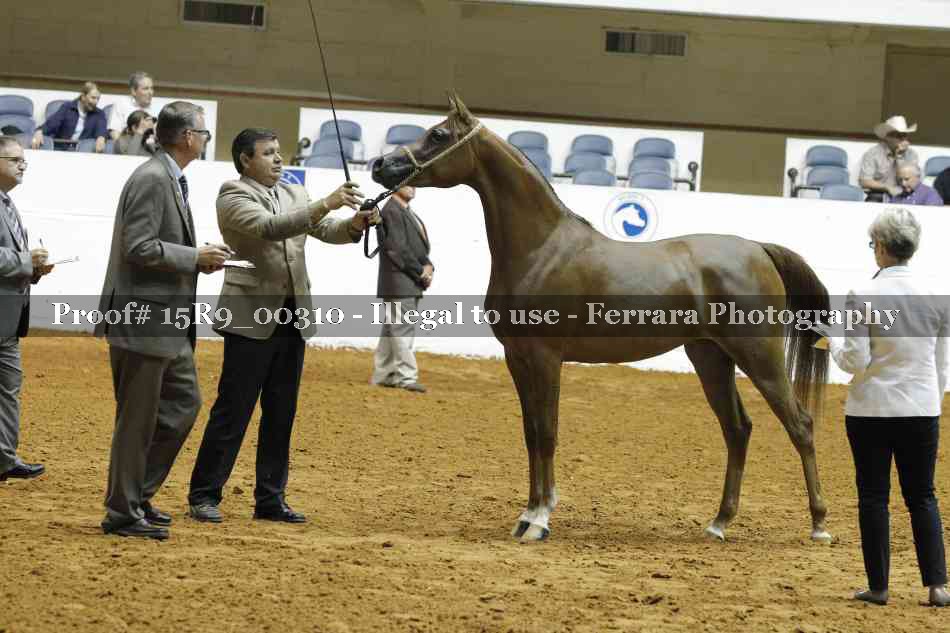 Proof 15R9_00310