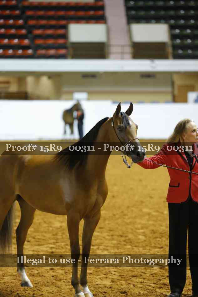 Proof 15R9_00311
