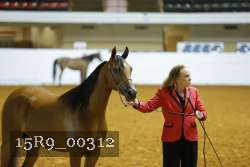 15R9_00312 proof