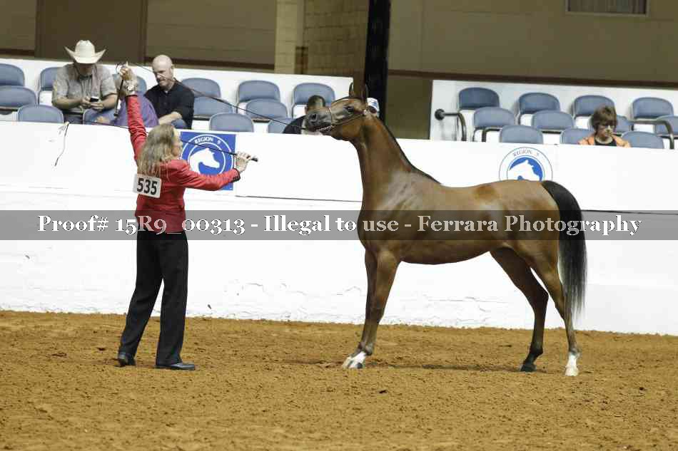 Proof 15R9_00313