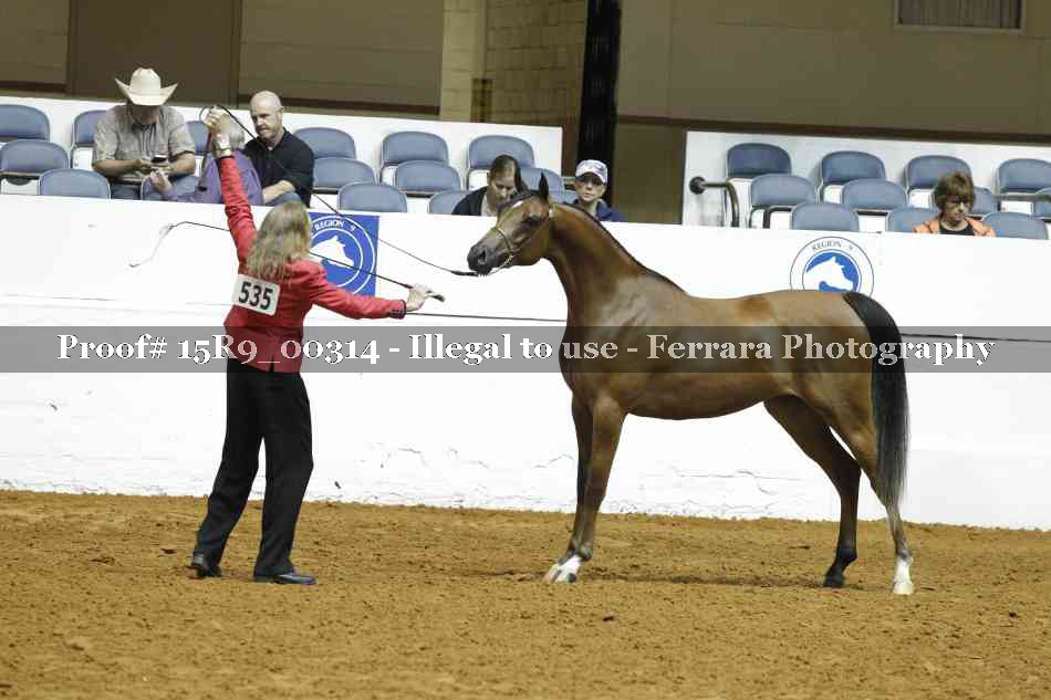 Proof 15R9_00314