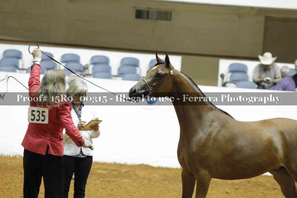 Proof 15R9_00315