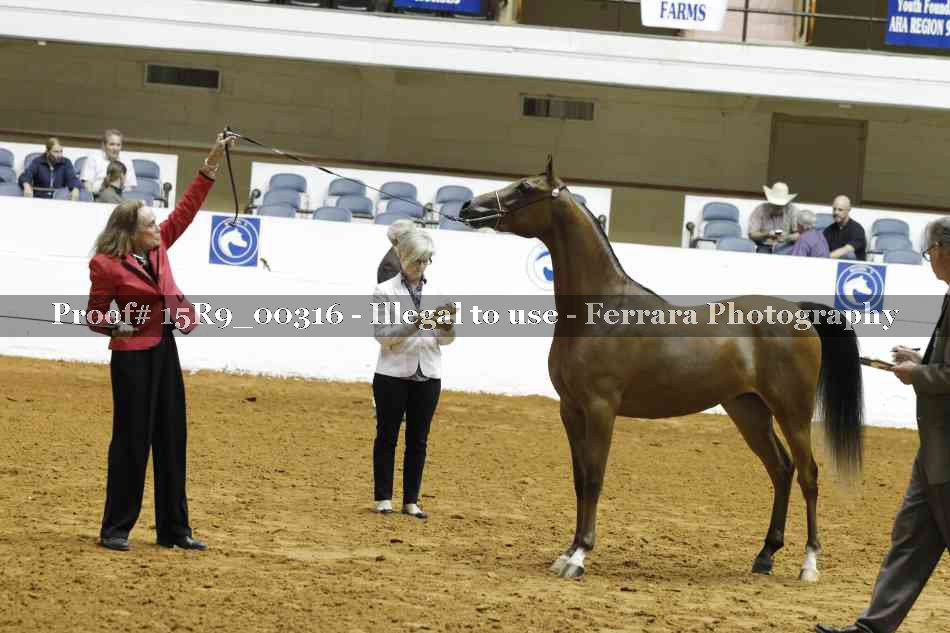 Proof 15R9_00316