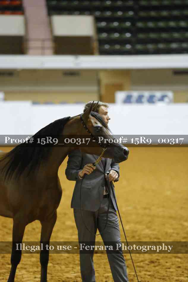 Proof 15R9_00317