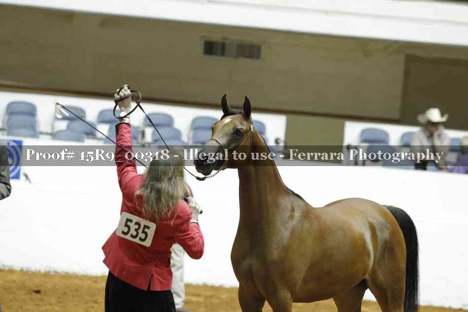 Proof 15R9_00318