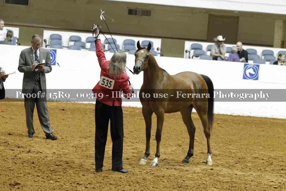 Proof 15R9_00319