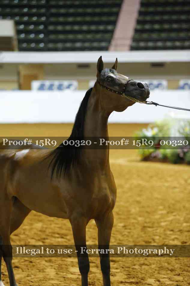 Proof 15R9_00320