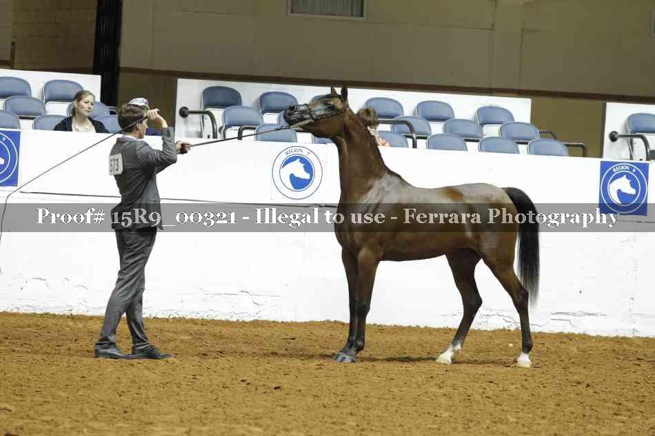 Proof 15R9_00321