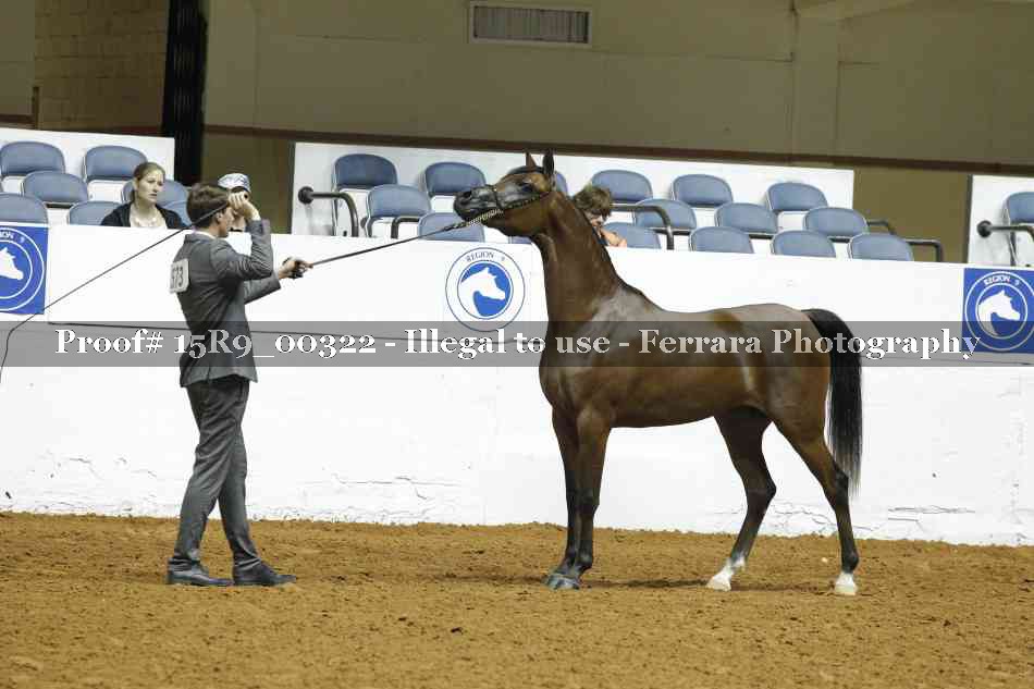 Proof 15R9_00322