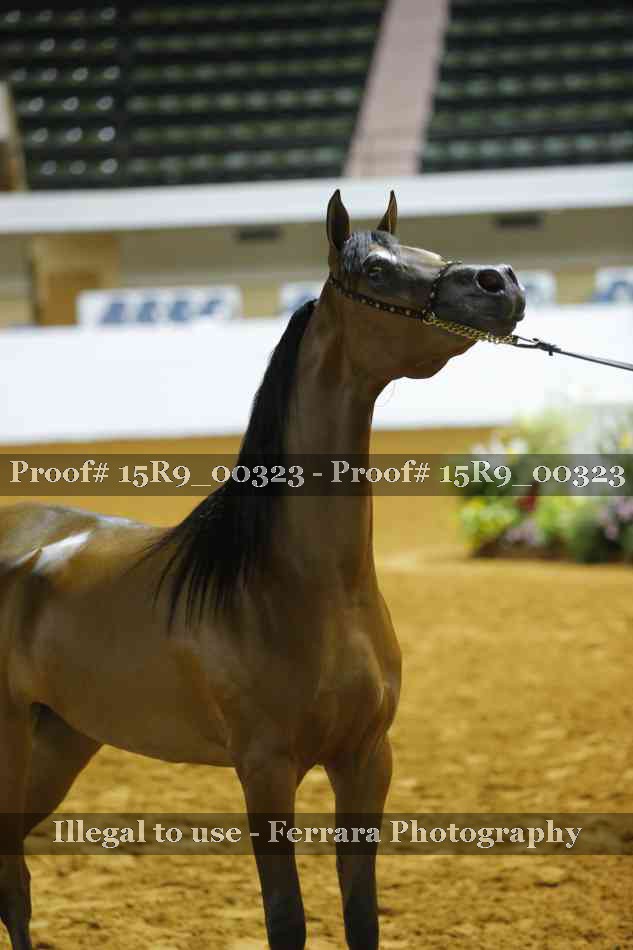 Proof 15R9_00323