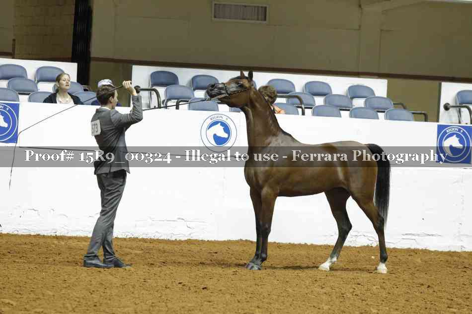 Proof 15R9_00324