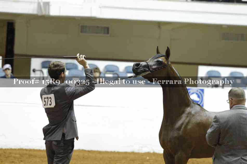 Proof 15R9_00325
