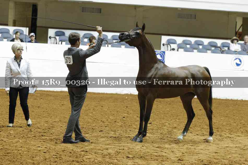 Proof 15R9_00326