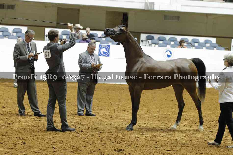 Proof 15R9_00327