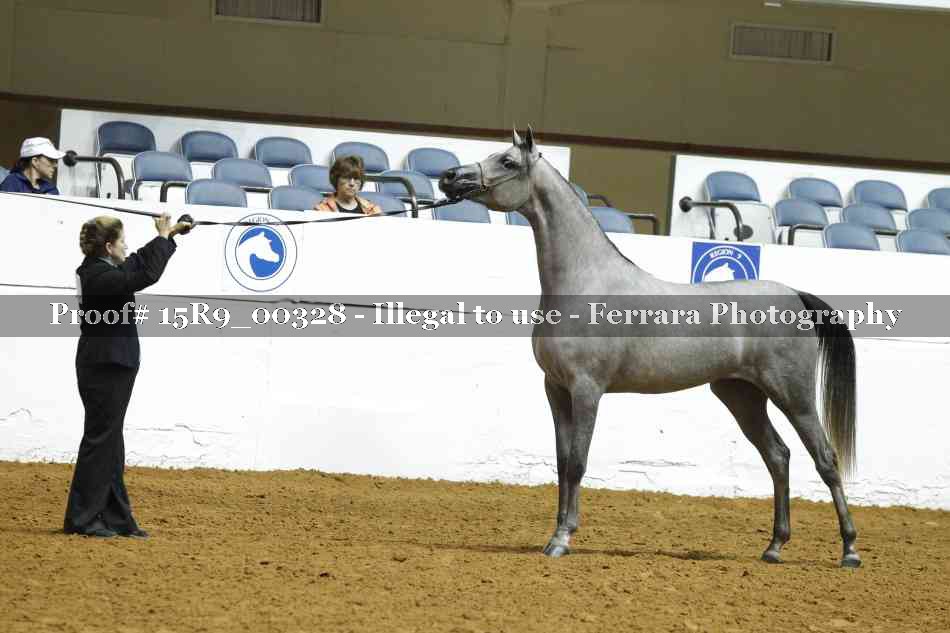 Proof 15R9_00328