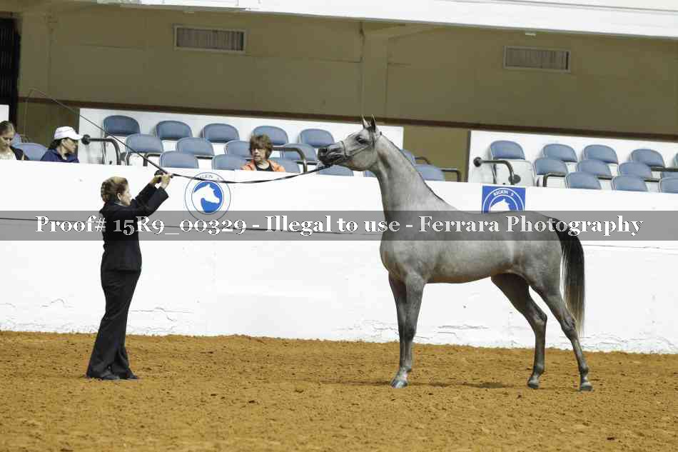 Proof 15R9_00329