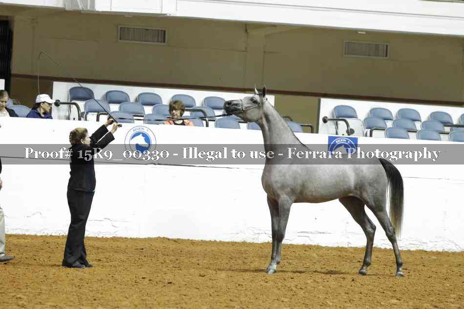 Proof 15R9_00330