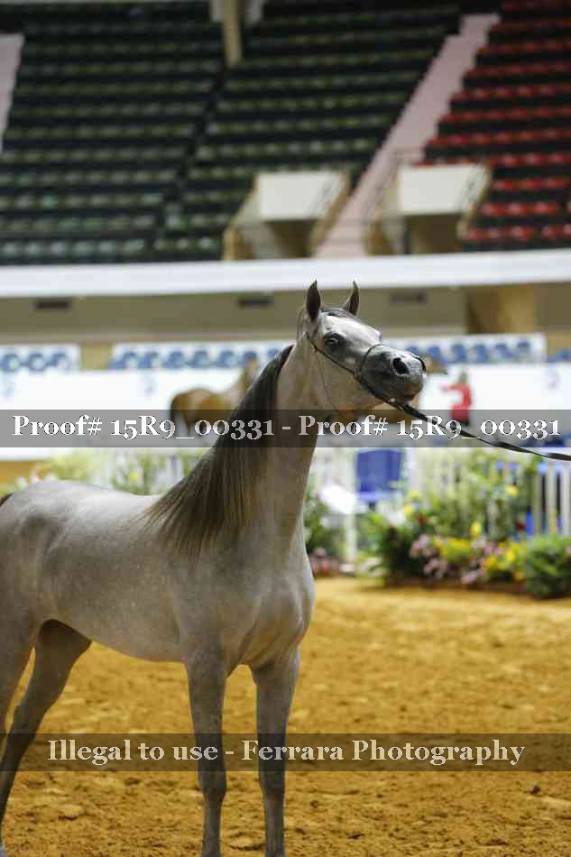Proof 15R9_00331