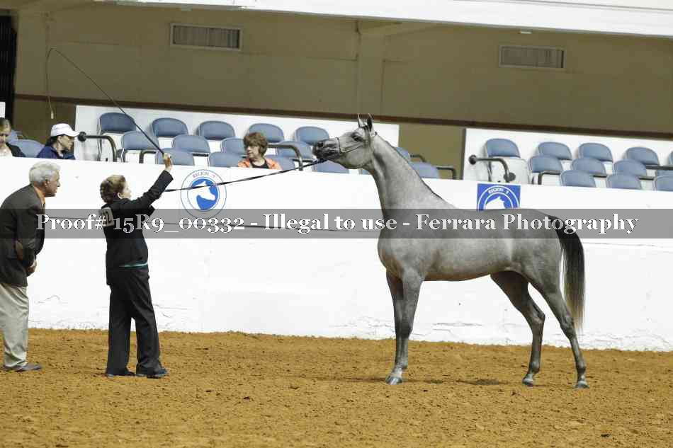 Proof 15R9_00332