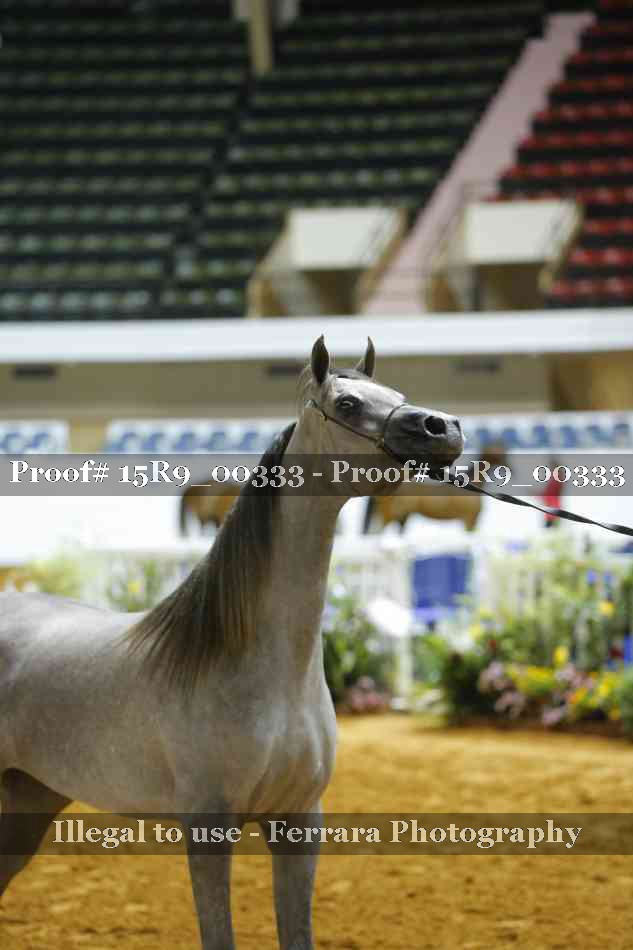 Proof 15R9_00333