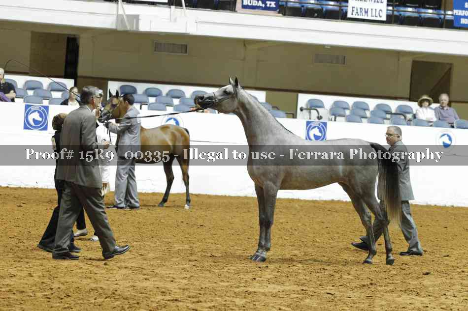 Proof 15R9_00335