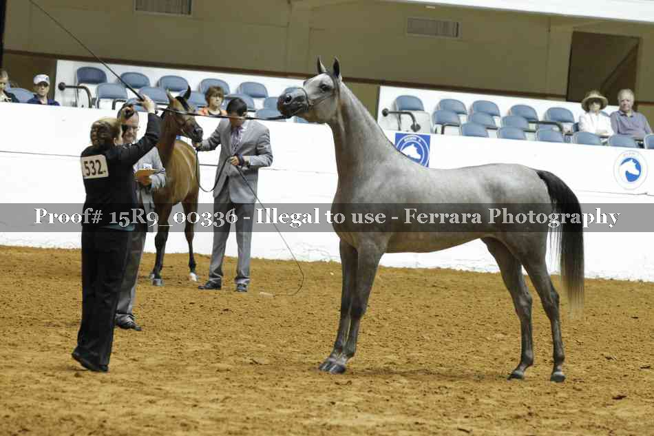 Proof 15R9_00336