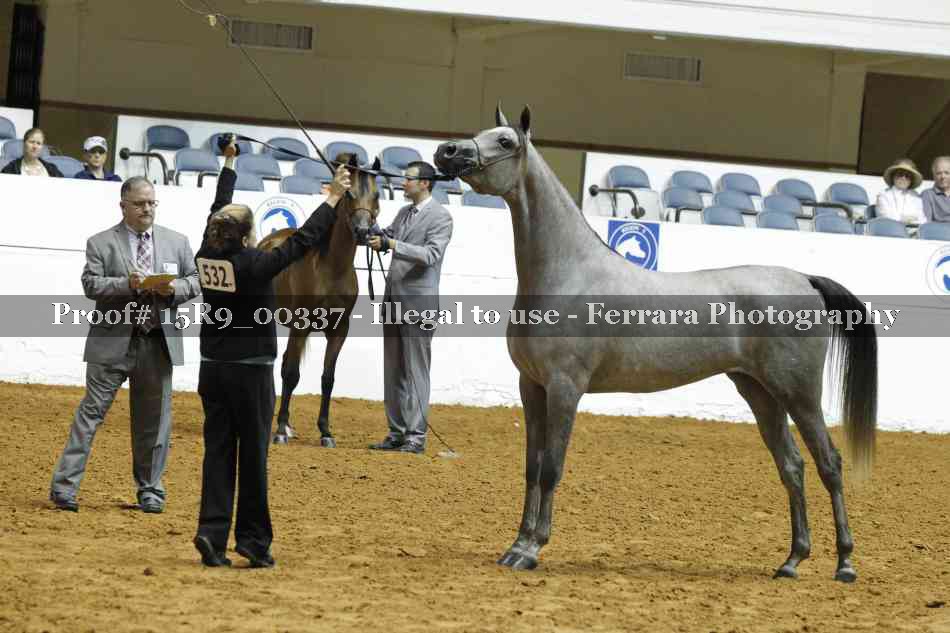 Proof 15R9_00337