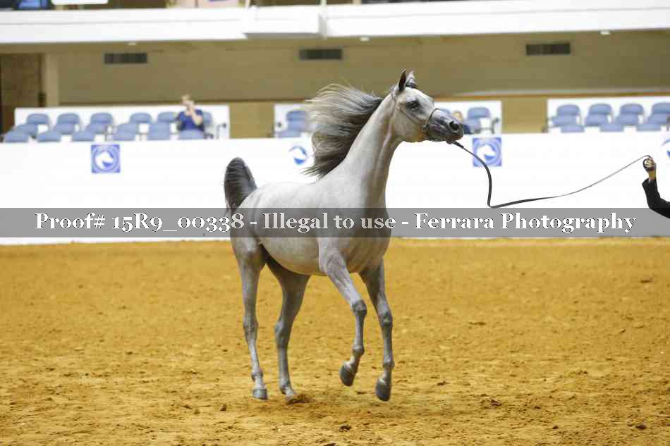 Proof 15R9_00338