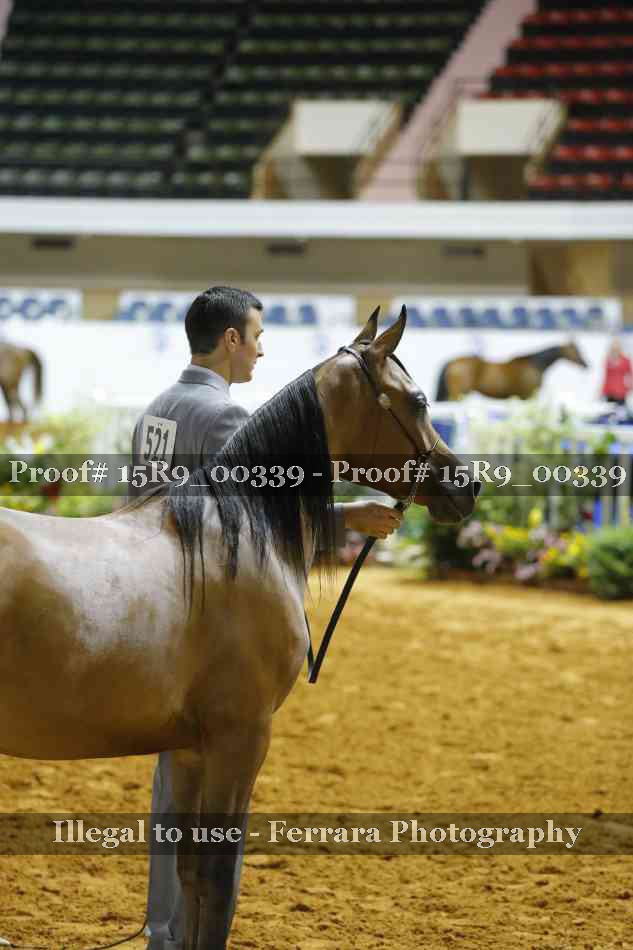 Proof 15R9_00339