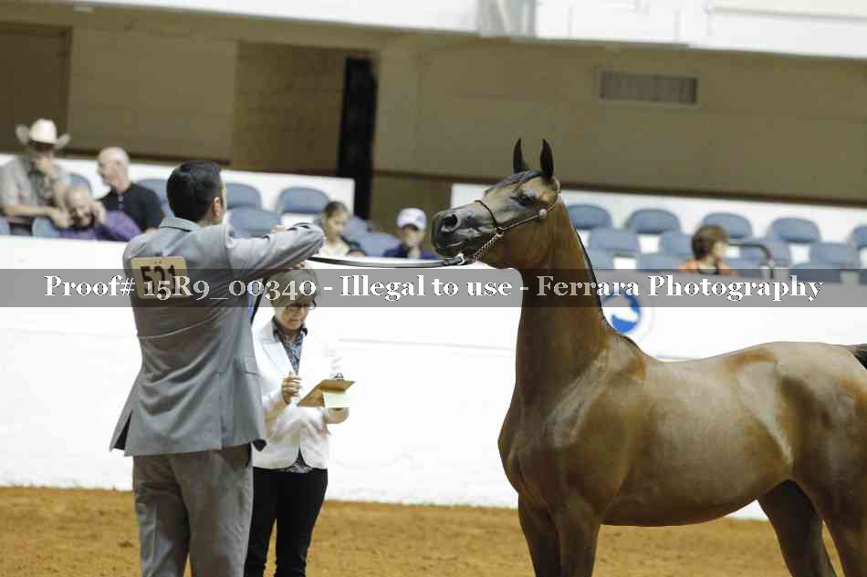Proof 15R9_00340