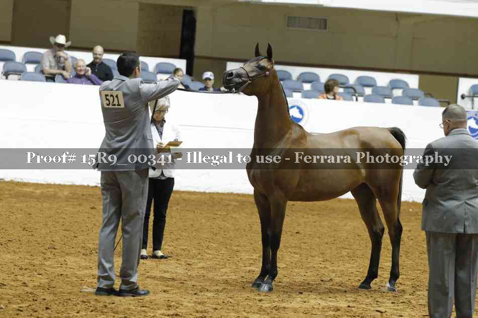 Proof 15R9_00341