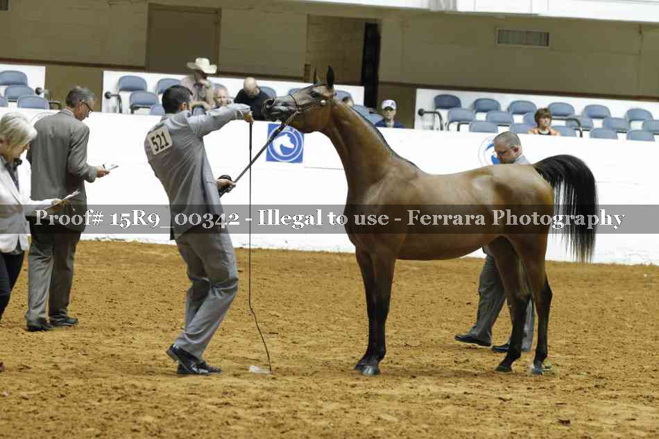 Proof 15R9_00342