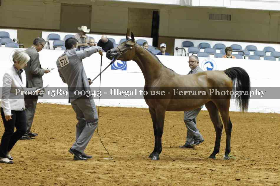 Proof 15R9_00343