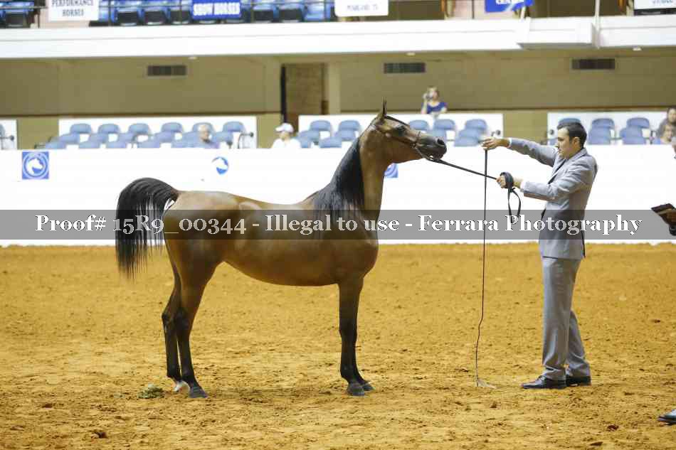 Proof 15R9_00344
