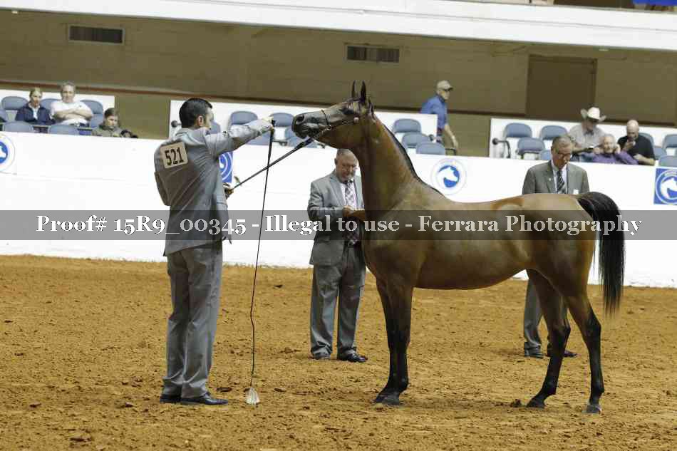 Proof 15R9_00345