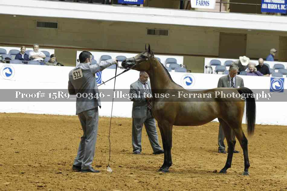 Proof 15R9_00346