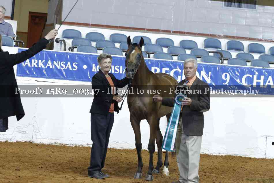 Proof 15R9_00347