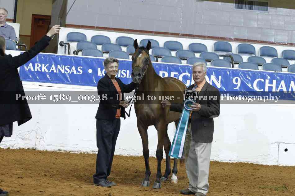 Proof 15R9_00348