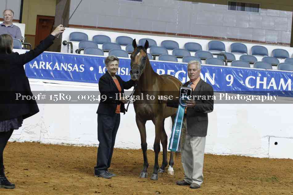 Proof 15R9_00349