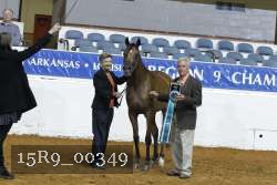 15R9_00349 proof