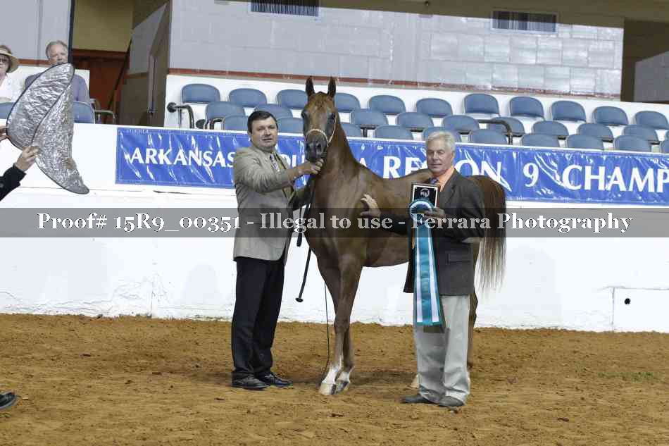 Proof 15R9_00351
