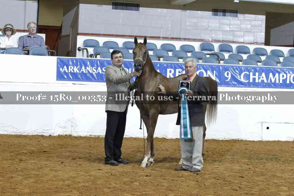 Proof 15R9_00353